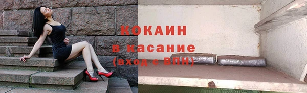 индика Баксан
