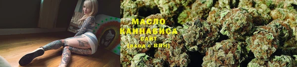 индика Баксан