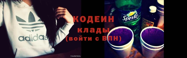 индика Баксан
