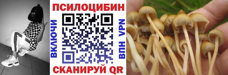 Галлюциногенные грибы Cubensis  закладки  omg ССЫЛКА  Ноябрьск 